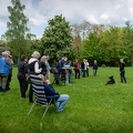 Bild-11