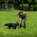 Bild-110