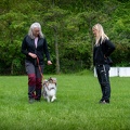 Bild-14