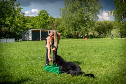 Bild-31