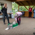 Bild-33