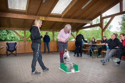 Bild-34