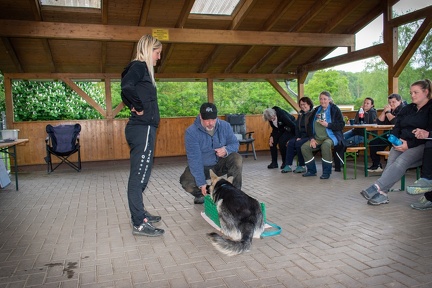 Bild-35
