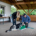 Bild-37