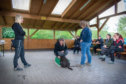 Bild-40