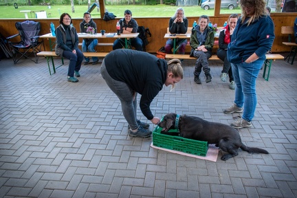 Bild-41