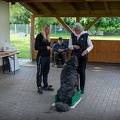 Bild-44