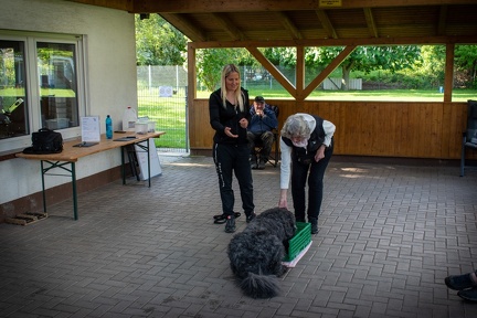 Bild-45