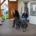 Bild-48