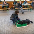 Bild-51