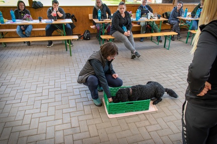 Bild-51