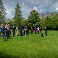 Bild-9