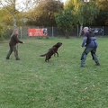 IMG-20240930-235311