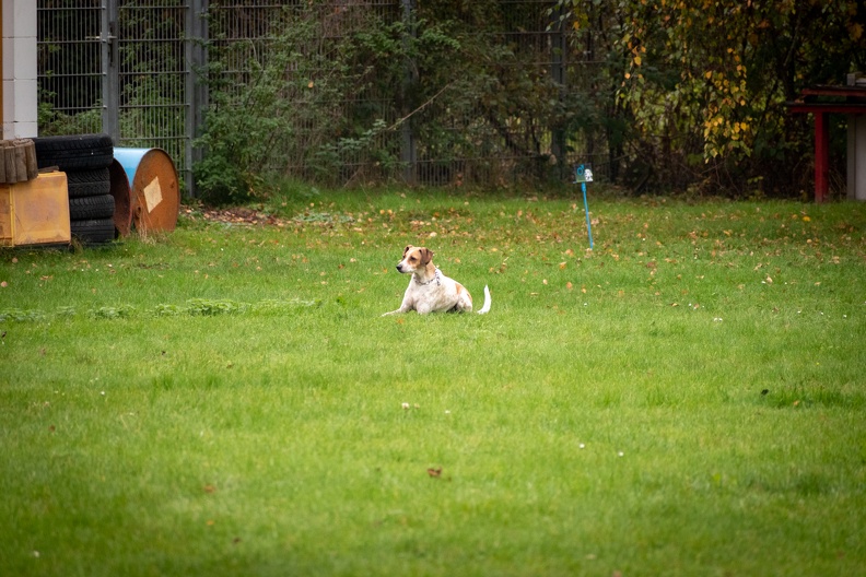 DSC_1426.jpg